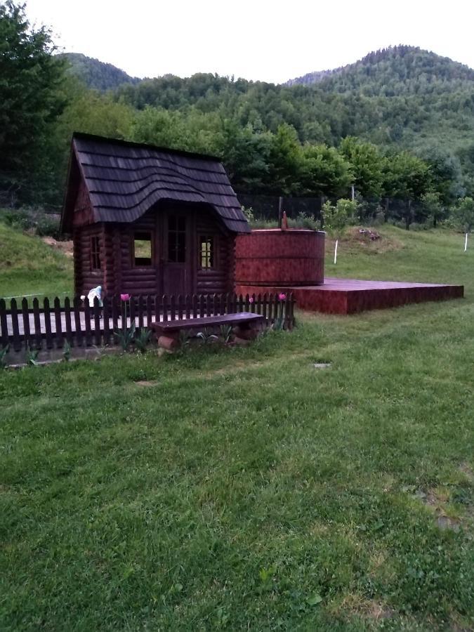 Pensiunea Roxana Valea Viseului Екстериор снимка
